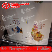 Machines d&#39;impression de flexographie de Changhong (cj888)